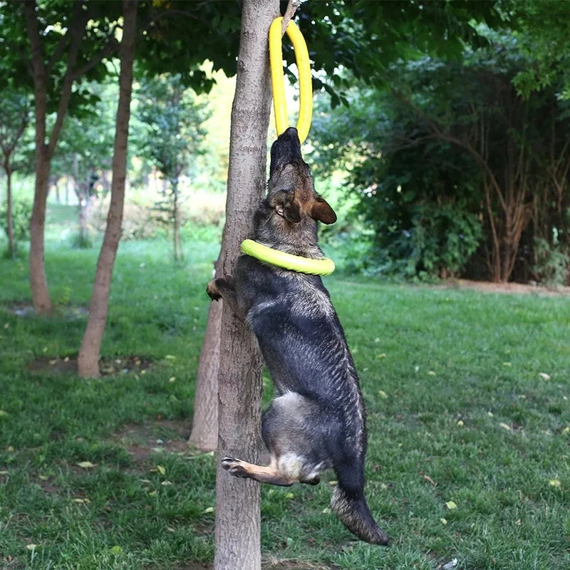 Hundespielzeug für große Hunde, interaktiver Trainingsring aus EVA, reißfest, für Hunde, Frisbee-Scheiben, Beißring, Spielzeug für kleine Hunde