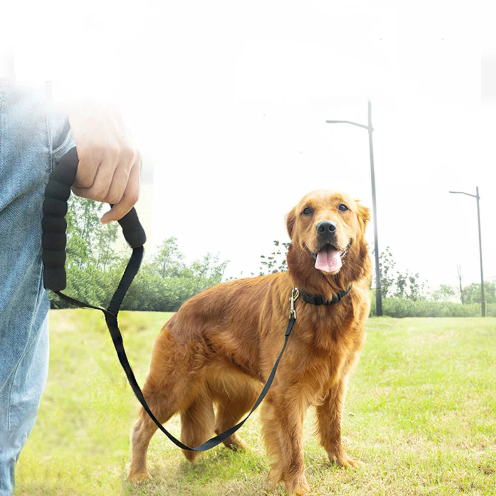 Lange Nylonleine mit komfortablem Schwammgriff für Hunde, Schlüsselband, Outdoor-Trainingsspaziergang, 1,8 m, 3 m, 6 m, 10 m, 15 m, 20 m, 30 m, 50 m, Hundeleine