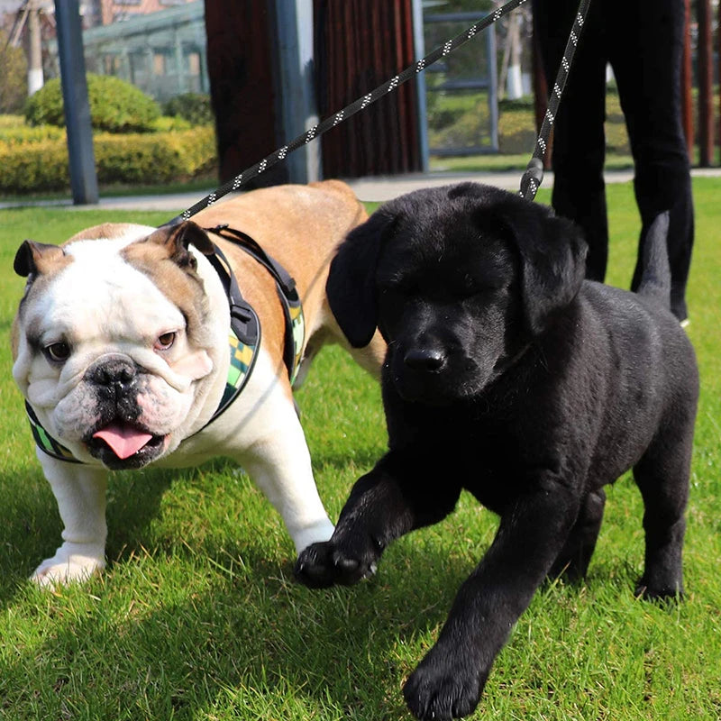 Benepaw Robuste Doppelleine für Hunde, Koppler, reflektierend, starke Doppelleine für Haustiere, 360°, kein Verheddern, für kleine, mittelgroße und große Hunde