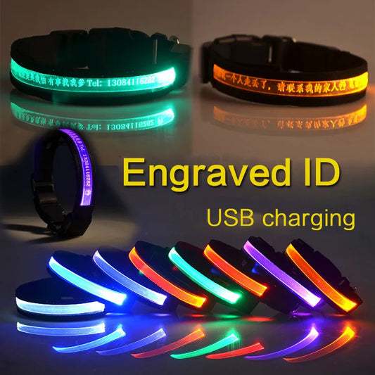 Hundehalsband-ID, personalisierbar, USB-Lade-LED-Hundemarke für Haustiere, Halsband mit Licht, gravierte ID, individuelles Typenschild für Welpen und Katzen, Nylon-Zubehör