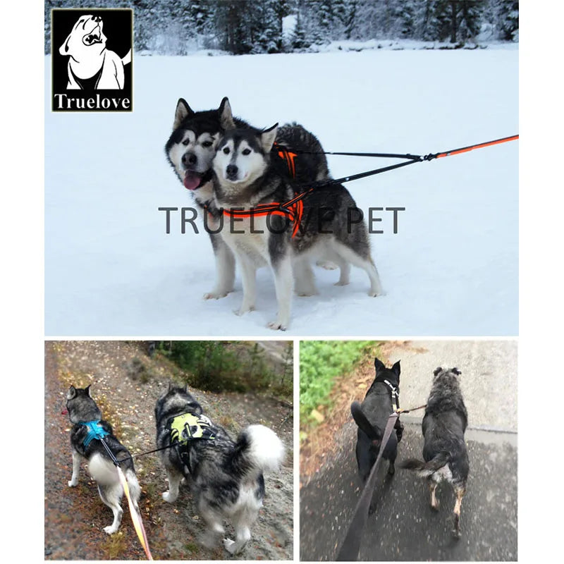 Truelove Nylon-Doppel-Hundeleine für zwei Hunde, Koppler, keine Verwicklung, Haustierleine für große und kleine Hunde, zum Training und Laufen, TLH2372