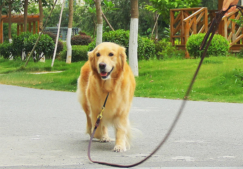 Echtes Leder Hundeleine Hunde Lange Leinen Geflochtene Haustier Walking Training Leinen Braun Schwarz Farben Für Mittlere Große Haustiere