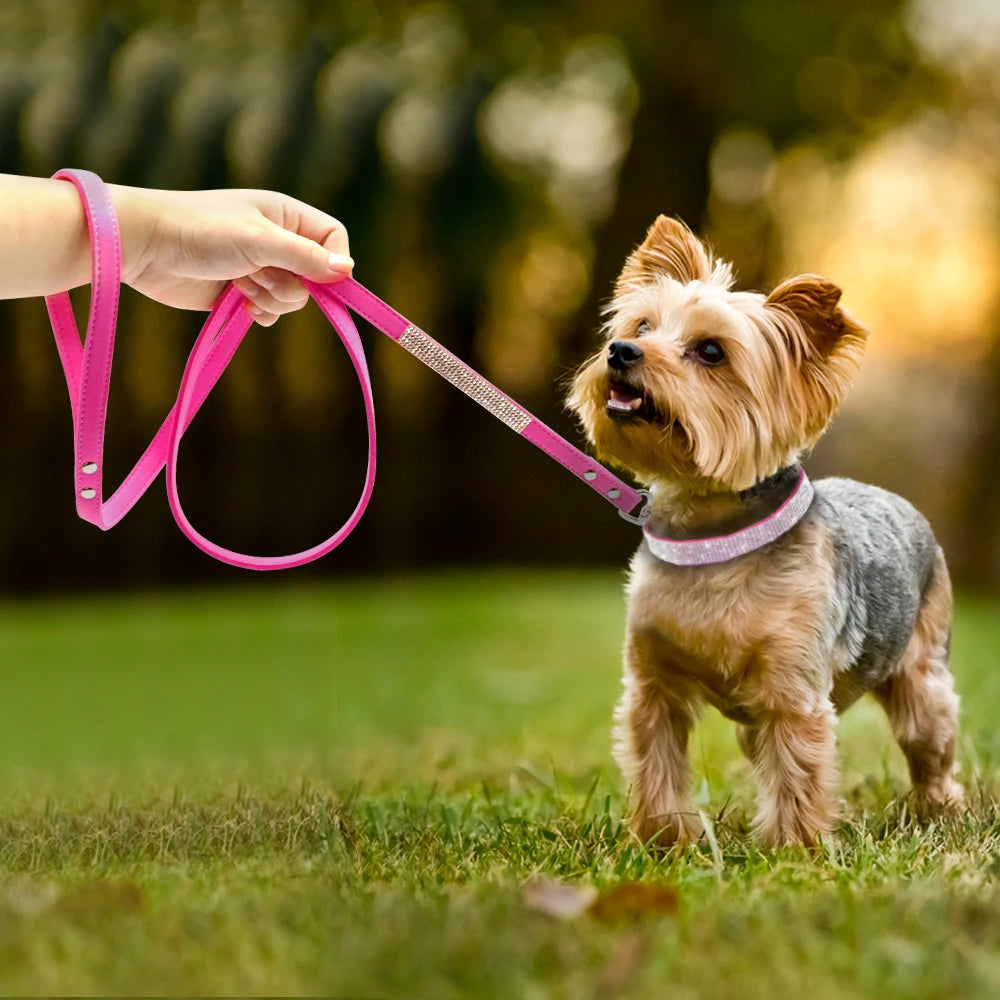 Modische Hundeleine mit Strasssteinen, Haustier-Bling, glänzend, für Katzen und Welpen, zum Spazierengehen, für kleine Hunde, Katzen, Chihuahau, Yorkshire, Teddy, 120 cm