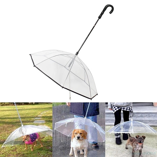 Neue transparente Haustier-Regenschirme, kleiner Hundeschirm mit Hundeleine, Eisenkette als Regenmantel für Hunde, schönes Paket, Heimtierbedarf