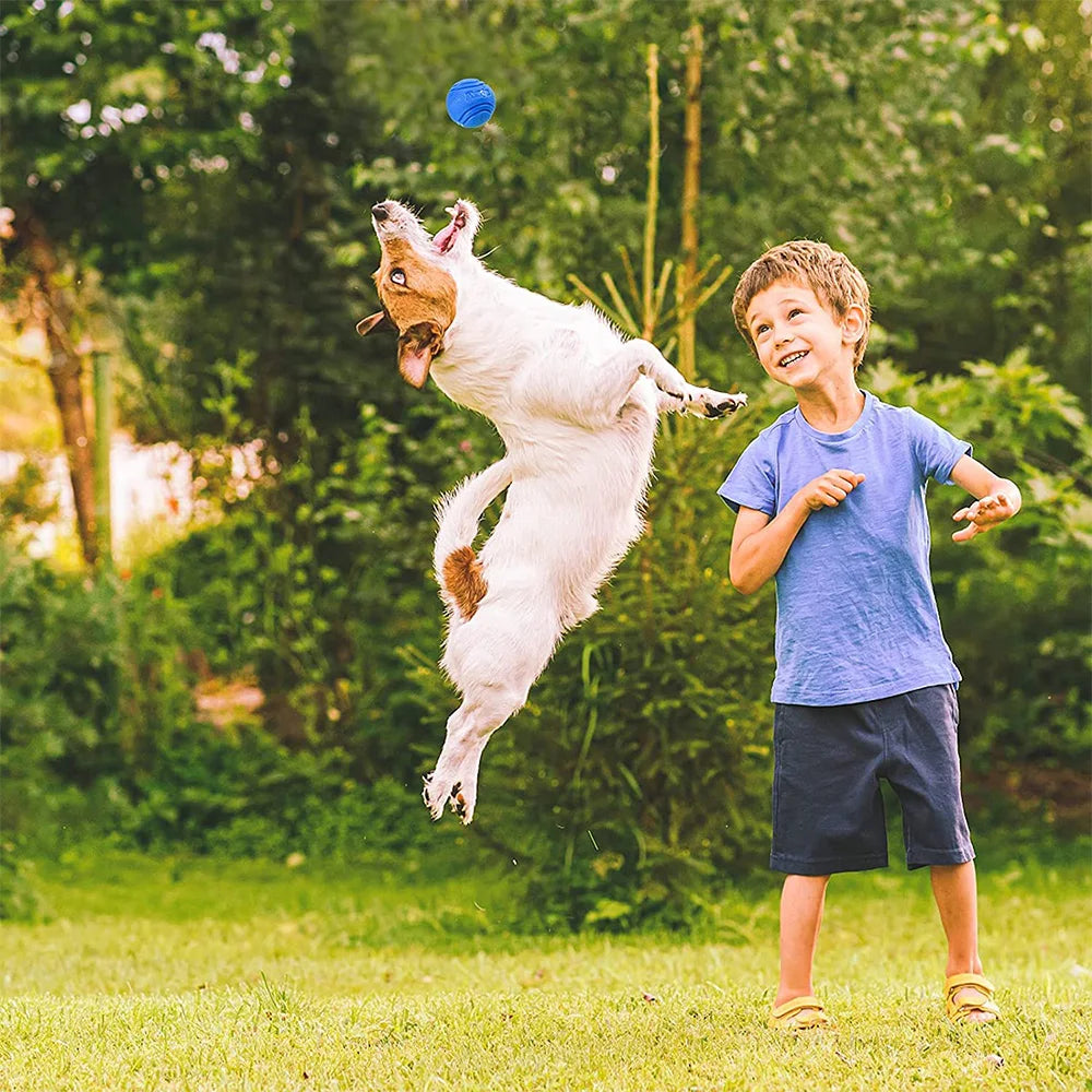 Hundespielzeug, Hundeball, Hüpfball aus festem Gummi, Widerstand gegen Kauspielzeug für Hunde, Werfen und Erholungstraining im Freien für Hunde