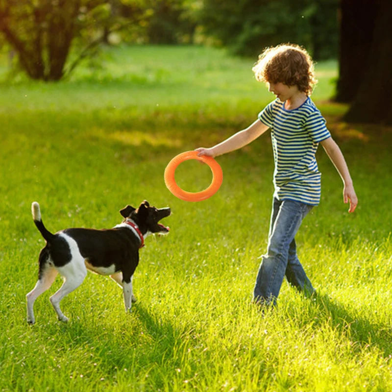 Hundespielzeug für große Hunde, interaktiver Trainingsring aus EVA, reißfest, für Hunde, Frisbee-Scheiben, Beißring, Spielzeug für kleine Hunde