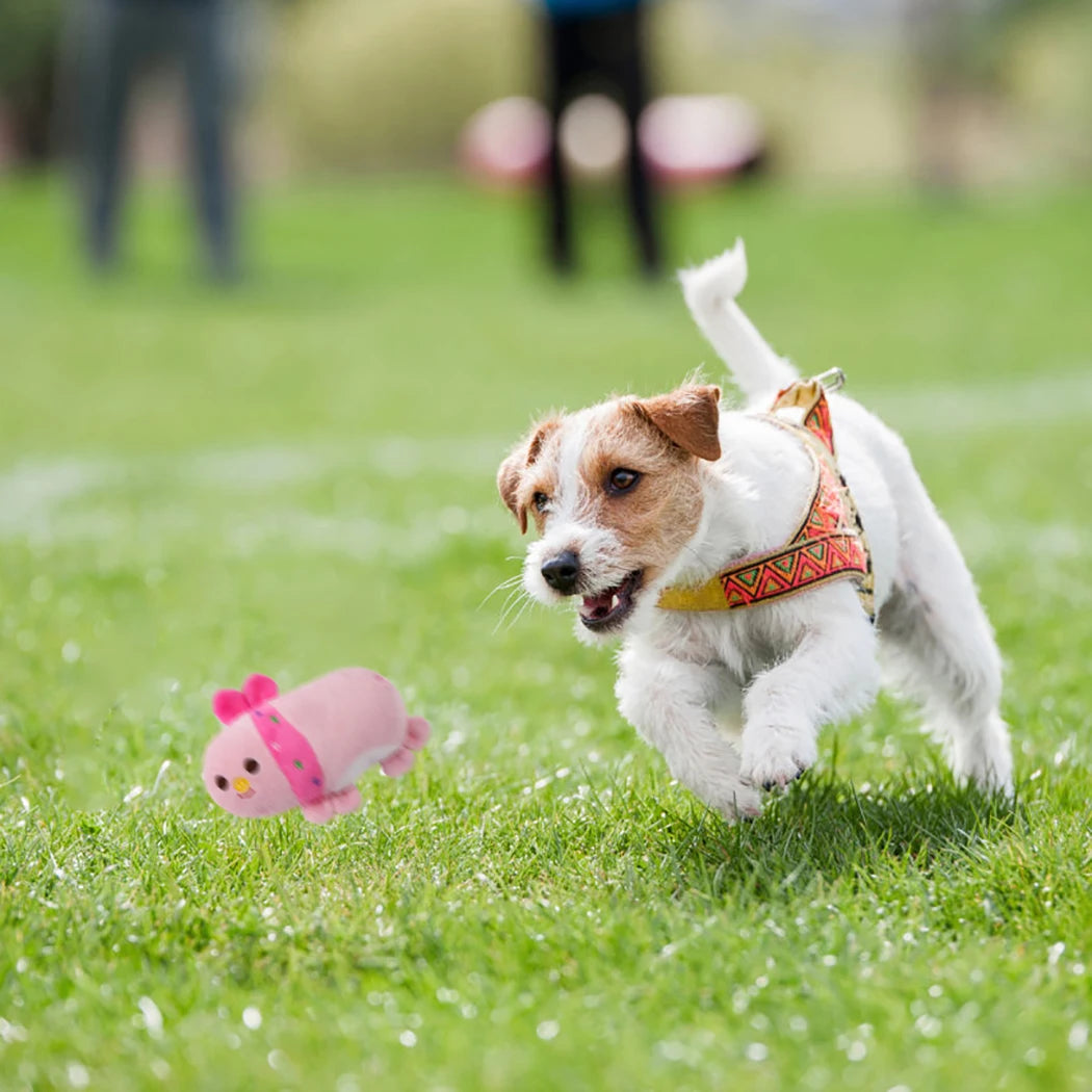 Niedliches Hundespielzeug aus Plüsch mit quietschendem Knochen, bissfest, sauberes Kauspielzeug für Hunde, Welpentraining, weiche Banane, Karotte und Gemüse, Heimtierbedarf