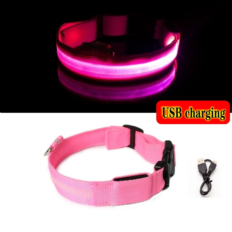 Led Hundehalsband Licht Anti-verloren Kragen Für Hunde Welpen Nacht Leuchtende Liefert Pet Produkte Zubehör USB Lade/Batterie