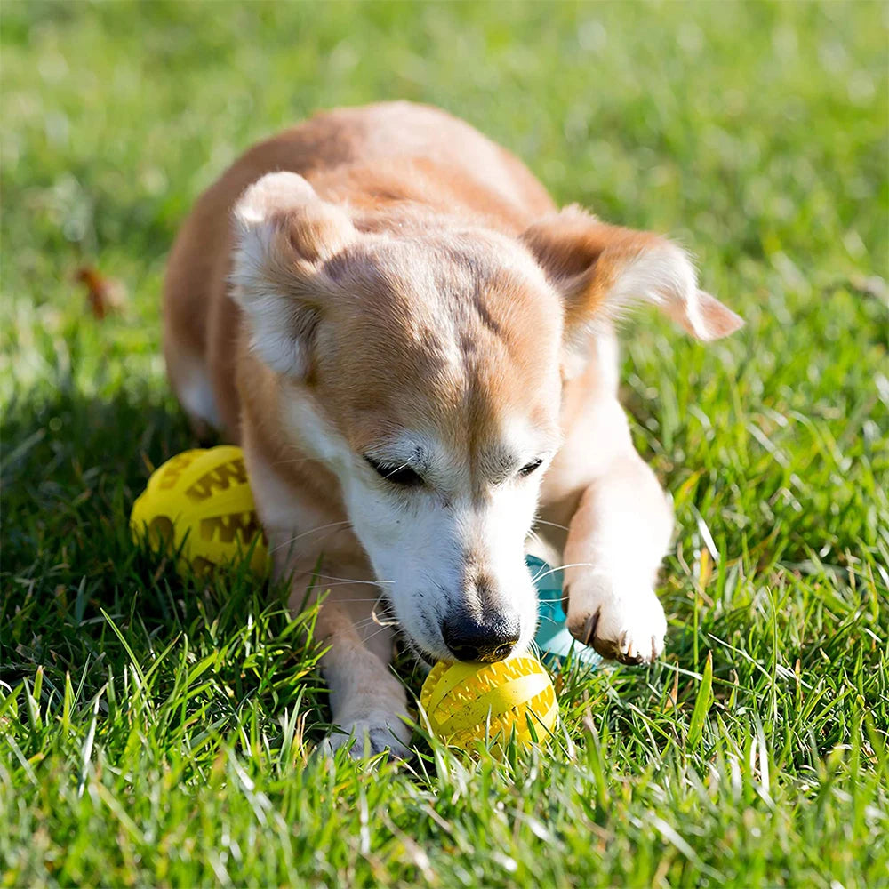 Spielzeug für Hunde Gummi-Hundeball für Welpen Lustiges Hundespielzeug für Haustierwelpen Große Hunde Zahnreinigung Snackball Spielzeug für Haustierprodukte