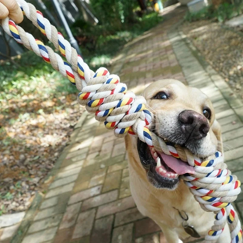 60CM Haustiere Spielzeug Beißen Backenzahn Seil Hundespielzeug für große Hunde Rottweiler Hundespielzeug Golden Retriever Kauen Zähne große Spielzeuge WF1015