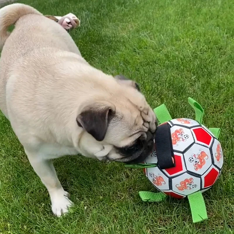 Fußballspielzeug für Welpen, interaktives Fußballspielzeug für Hunde, Hundetrainingsspielzeug für draußen, Haustier-Beiß- und Kauspielzeug für kleine und mittelgroße Hunde