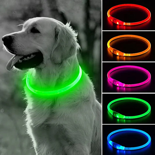 LED-Hundehalsband, leuchtendes USB-Halsband für Katzen und Hunde, 3 Modi, LED-Licht, leuchtendes Halsband zur Verlustprävention für Hunde, Haustier-Hundezubehör