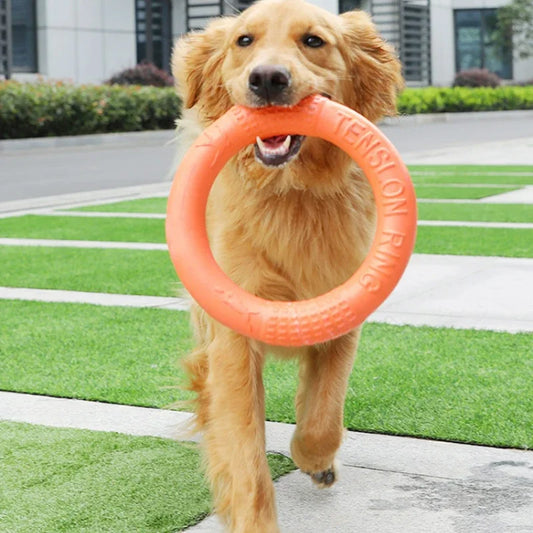 Hundespielzeug Haustier Flying Disk Trainingsring Puller Anti-Bite Floating Interactive Supplies Hundespielzeug Aggressives Kauen