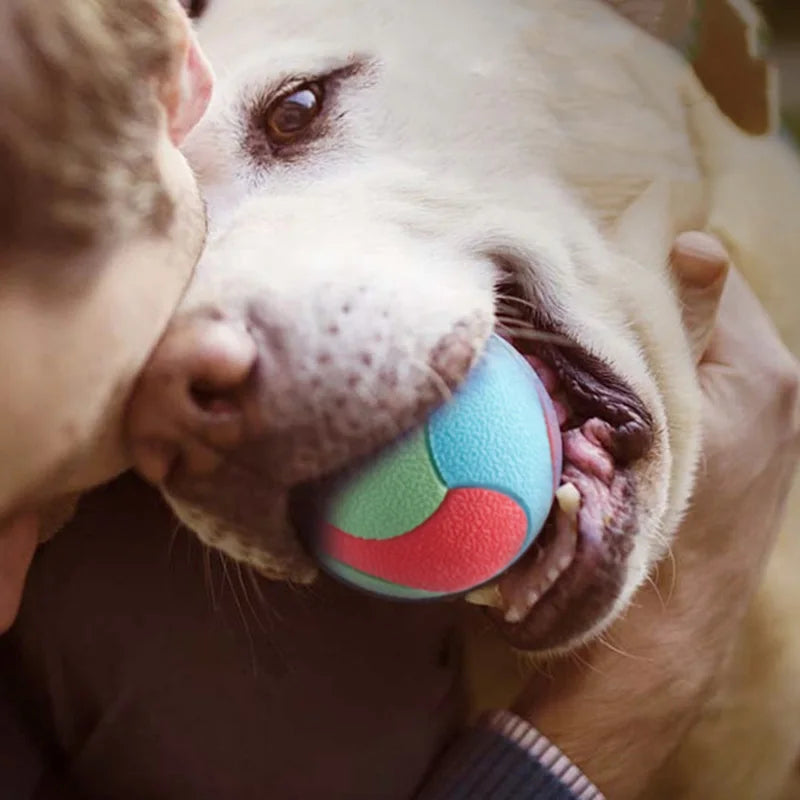 Hundespielzeug, Bissfestes Hüpfball-Spielzeug für kleine, mittelgroße und große Hunde, Zahnreinigungsball, Kauspielzeug für Hunde, Produkte zum Training von Haustieren