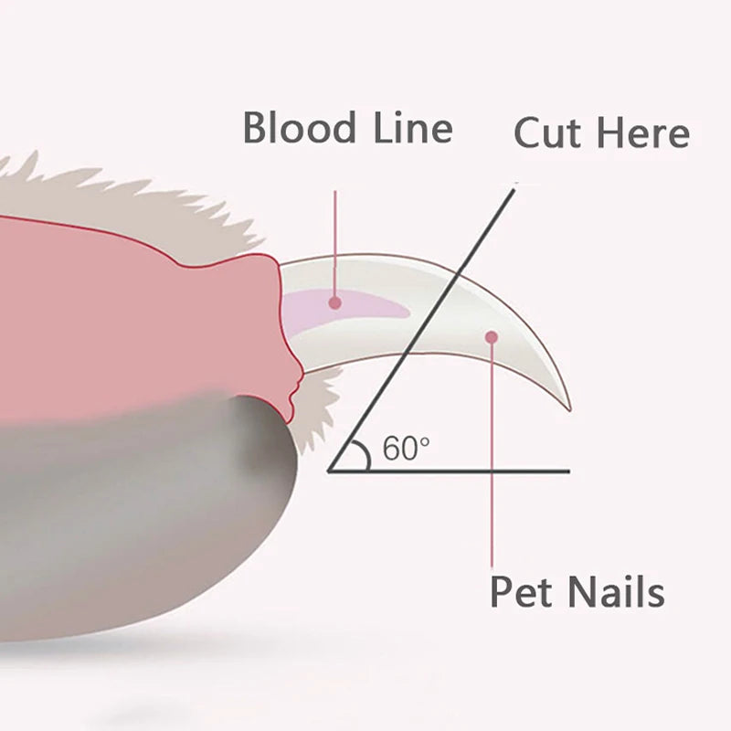 Professioneller Nagelknipser für Haustiere mit LED-Licht, Nagelschere für kleine Hunde und Katzen, Krallenpflegeschneider, Heimtierbedarf