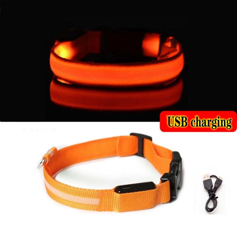 Led Hundehalsband Licht Anti-verloren Kragen Für Hunde Welpen Nacht Leuchtende Liefert Pet Produkte Zubehör USB Lade/Batterie