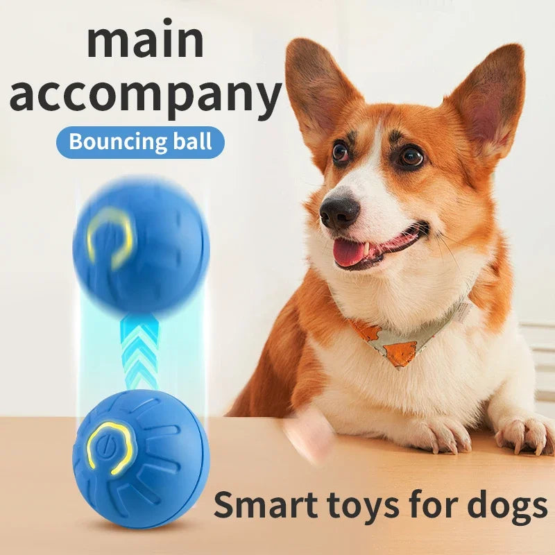 Intelligenter Hundespielzeugball, elektronisch, interaktives Haustierspielzeug, beweglicher Ball, USB, automatisch beweglicher Hüpfball für Welpen, Geburtstagsgeschenk, Katzenprodukt