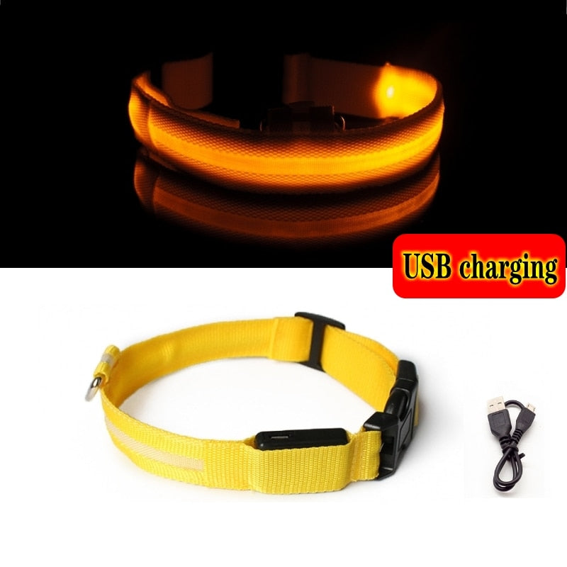 Led Hundehalsband Licht Anti-verloren Kragen Für Hunde Welpen Nacht Leuchtende Liefert Pet Produkte Zubehör USB Lade/Batterie