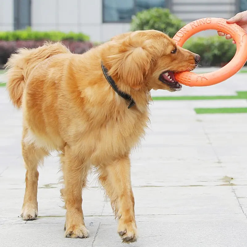 1 stück Orange Hundespielzeug Haustier Flying Disk Trainingsring Puller EVA Interaktives Training Ring Puller Beständig für Hunde