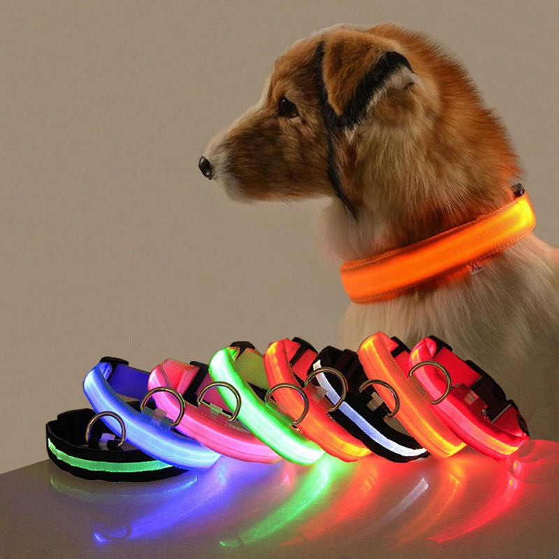 Led Hundehalsband Licht Anti-verloren Kragen Für Hunde Welpen Nacht Leuchtende Liefert Pet Produkte Zubehör USB Lade/Batterie