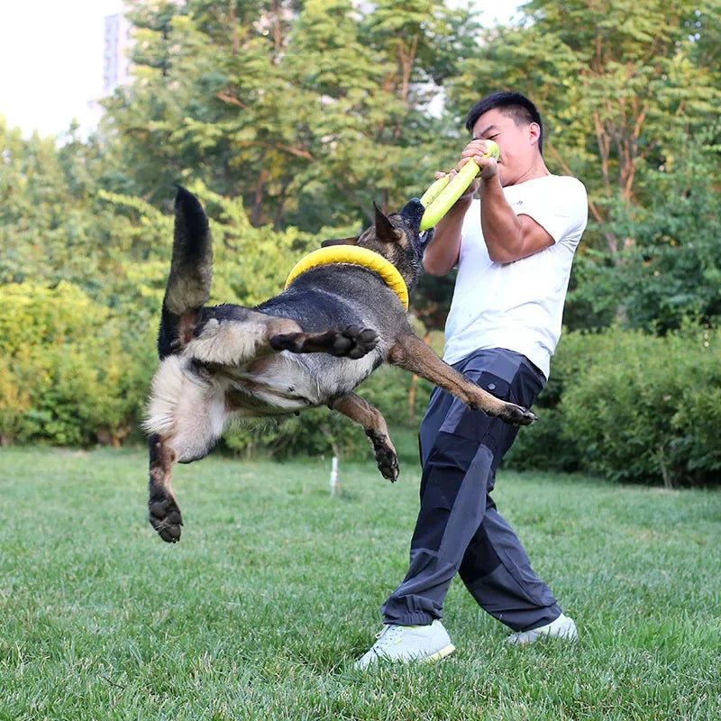 Hundespielzeug, Haustier-Frisbee, EVA-Hundetrainingsring, Puller-resistentes Spielzeug für Hunde, schwimmender Welpen-Beißring, interaktives Spielzeug