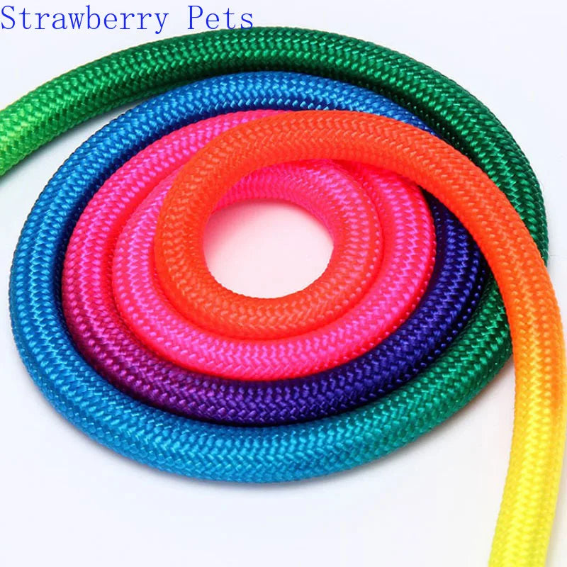 Strapazierfähiges Nylon Regenbogen 1,2 M Haustier Hundeleine Walking Training Leine Katzen Hunde Geschirr Halsband Leinen Gurt Gürtel Seil