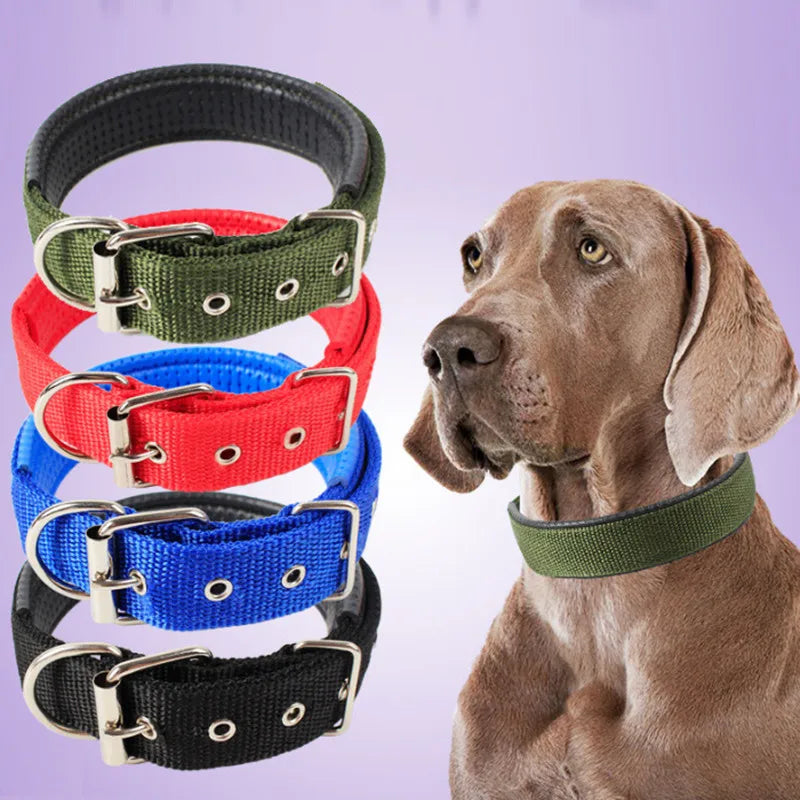 Nylon-Hundehalsbänder, verstellbarer Haustier-Halsgurt für kleine, mittelgroße und große Hunde, Katzenhalsband, mit Schaumstoff gepolstertes Hundehalsband, Hundezubehör