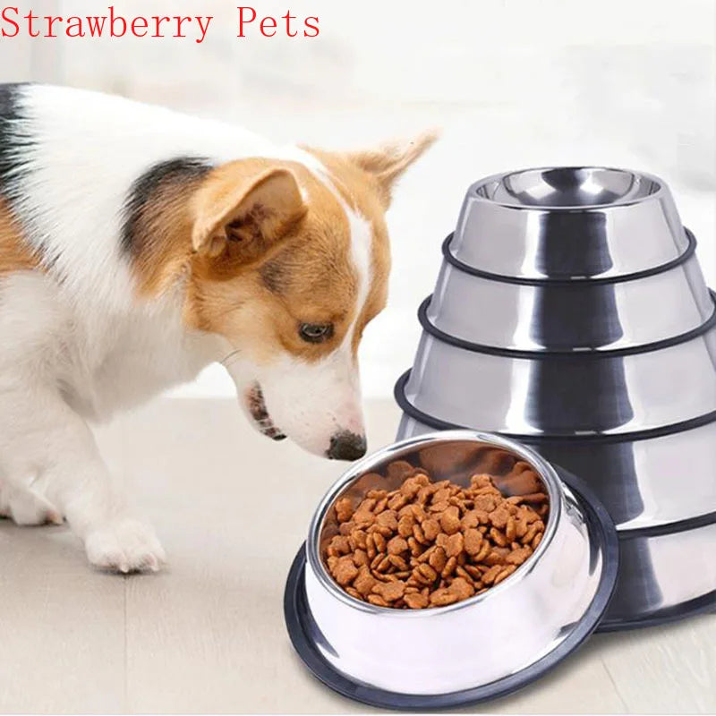 Stainless Steel Pet Dog Bowl Food Storage Container Dog Food Bowl Water Bottle Pet Bowl Feeder Dish for Small Large Dogs Cats