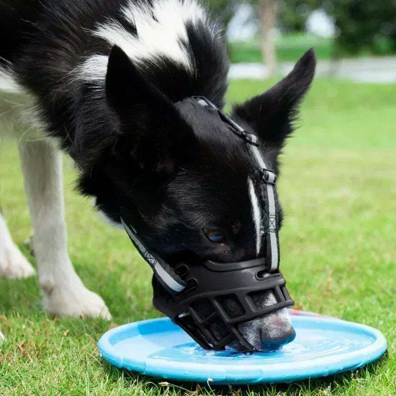 Verstellbarer Maulkorb für Hunde mit weichem Kleber, Anti-Beiß- und Kaumaske, atmungsaktiver Maulkorb für Hunde, langlebige, robuste Korbmaske, Maulkorb für Hunde