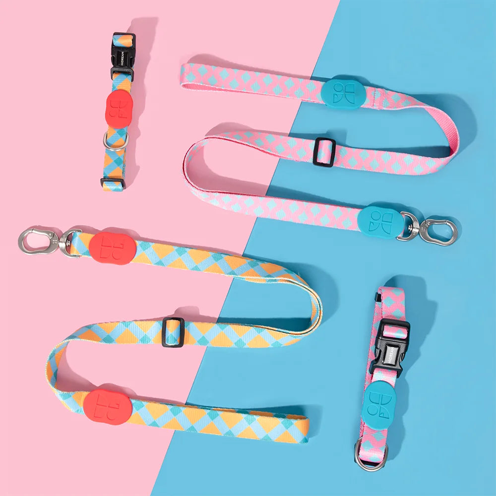 Hundehalsband und Multifunktionsleine, Anti-Zug-Halsband aus weichem Polyester, verstellbar, personalisiertes Zubehör für Haustiere