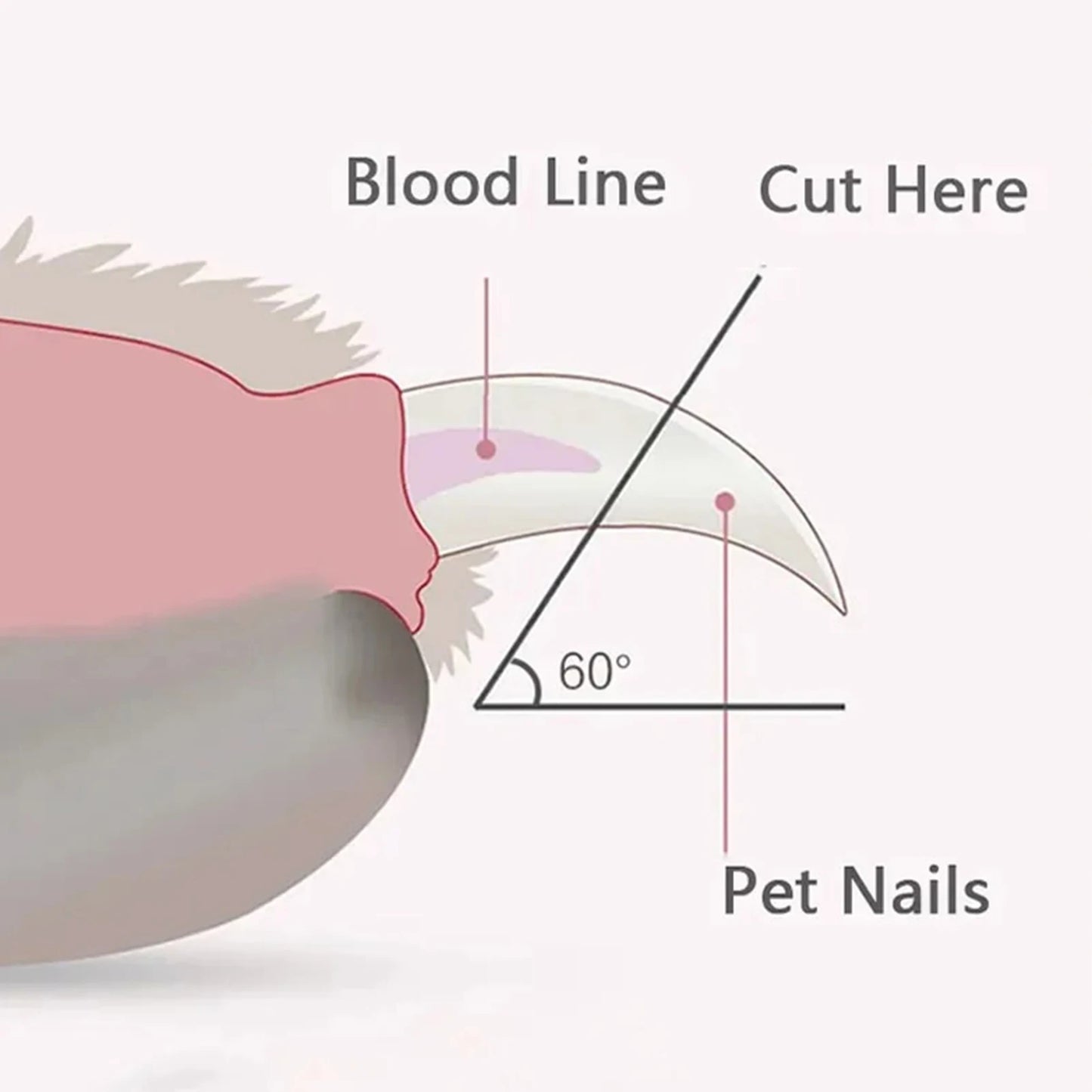 Professioneller Nagelknipser für Hunde mit LED-Licht, Nagelknipser für Haustiere für Katzen und Hunde, spritzwassergeschützte Krallenschere für Haustiere, Nagelschneider für Hunde