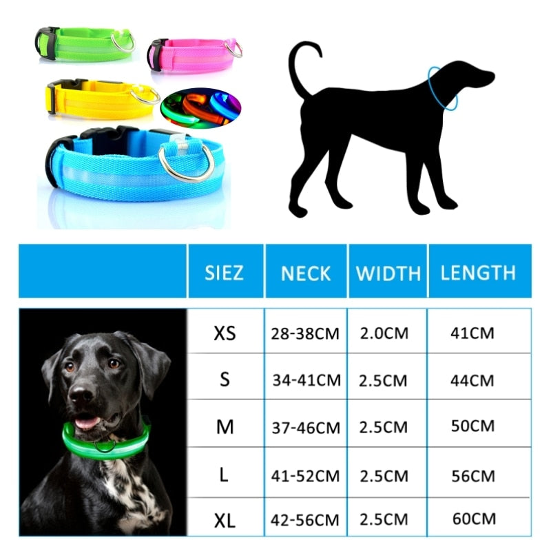 Led Hundehalsband Licht Anti-verloren Kragen Für Hunde Welpen Nacht Leuchtende Liefert Pet Produkte Zubehör USB Lade/Batterie