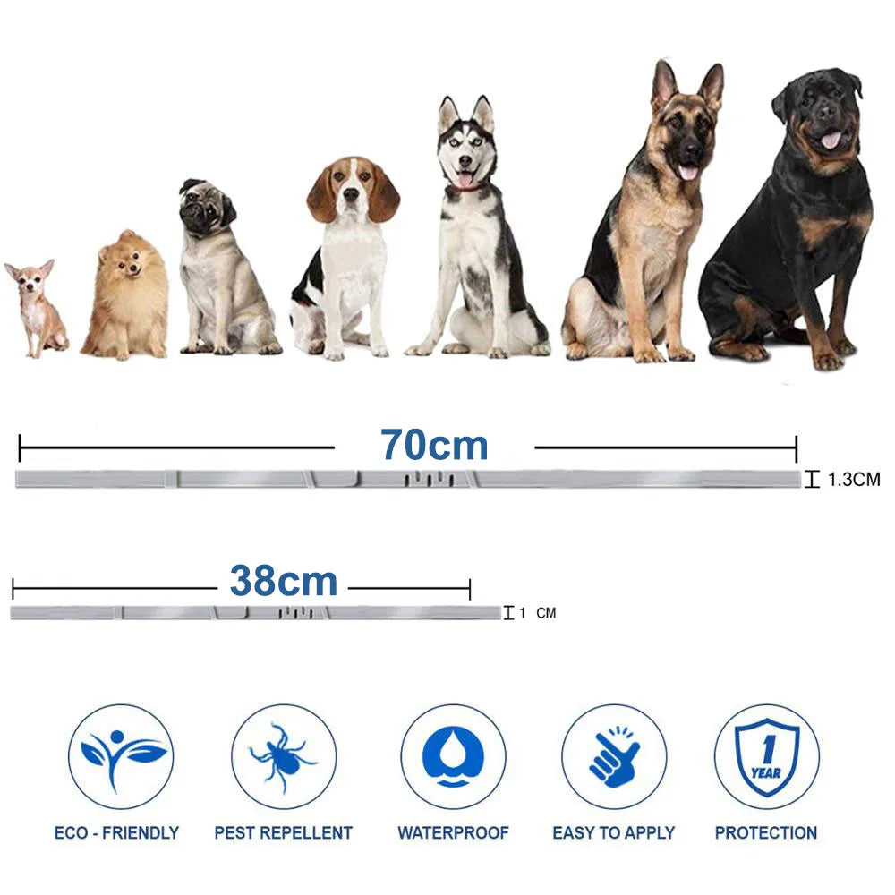 VIP Dog Collar Puppy Cat 70cm  38cm For Small Dogs Cats Collar Pet Items Accessories Dropshipping Suppliers