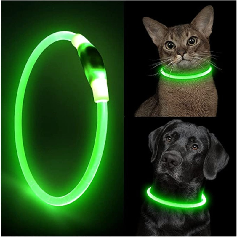 Hundehalsband mit LED-Licht, abnehmbar, leuchtende USB-Aufladung, leuchtende Leine für große Katzenhalsbänder, kleine helle Labrador-Haustiere, Hundeprodukte