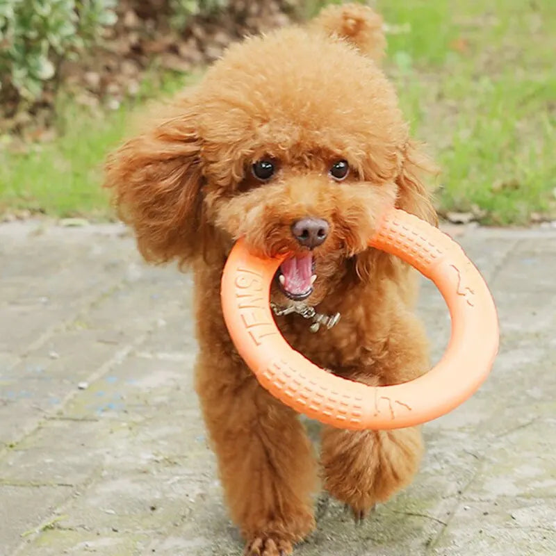 1 stück Orange Hundespielzeug Haustier Flying Disk Trainingsring Puller EVA Interaktives Training Ring Puller Beständig für Hunde