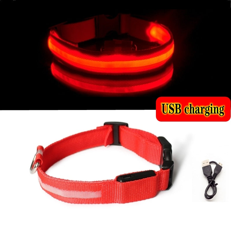 Led Hundehalsband Licht Anti-verloren Kragen Für Hunde Welpen Nacht Leuchtende Liefert Pet Produkte Zubehör USB Lade/Batterie