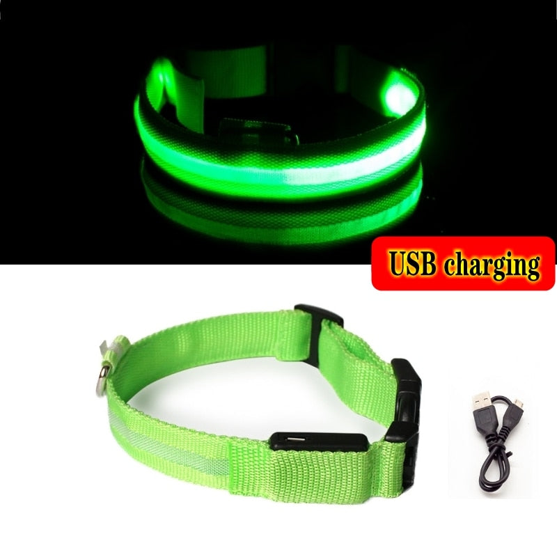 Led Hundehalsband Licht Anti-verloren Kragen Für Hunde Welpen Nacht Leuchtende Liefert Pet Produkte Zubehör USB Lade/Batterie