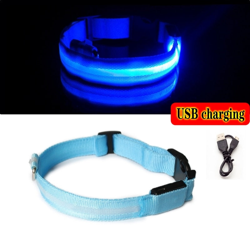 Led Hundehalsband Licht Anti-verloren Kragen Für Hunde Welpen Nacht Leuchtende Liefert Pet Produkte Zubehör USB Lade/Batterie