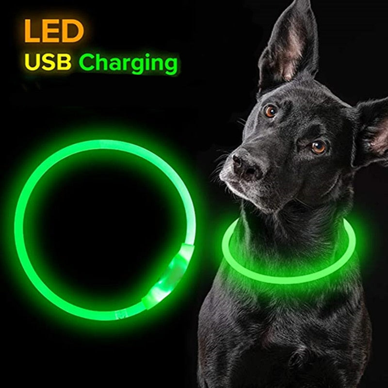 Hundehalsband mit LED-Licht, abnehmbar, leuchtende USB-Aufladung, leuchtende Leine für große Katzenhalsbänder, kleine helle Labrador-Haustiere, Hundeprodukte