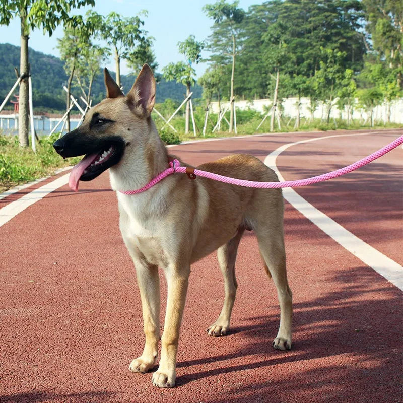 Hundehalsband, Schlupfleine, Hundeleine, Nylon, solide Seilleine, verstellbar, kein Ziehen, Trainingsleine für mittelgroße und große Hunde