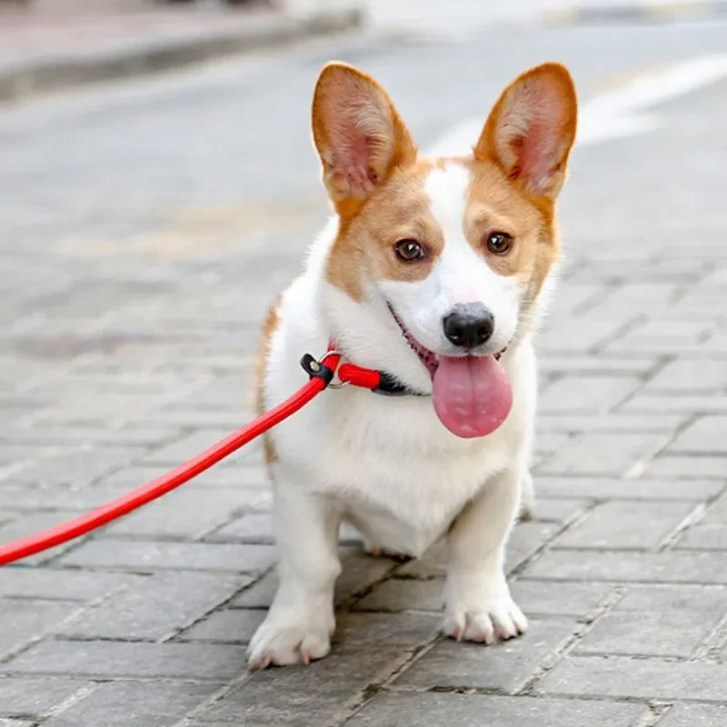 Hundehalsband P-Kette zum Gassigehen mit dem Hund Verstellbares Hundehalsband P-Seil Haustierhalsbänder Nylon Hundegeschirr Welpentrainingsseil Heimtierbedarf