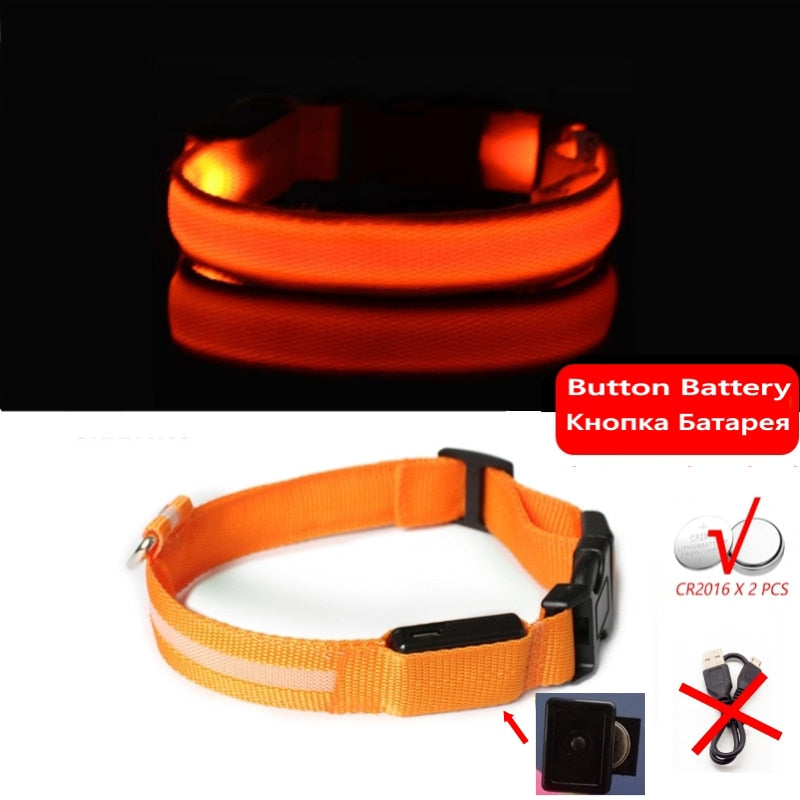 Led Hundehalsband Licht Anti-verloren Kragen Für Hunde Welpen Nacht Leuchtende Liefert Pet Produkte Zubehör USB Lade/Batterie