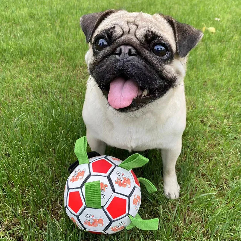 Fußballspielzeug für Welpen, interaktives Fußballspielzeug für Hunde, Hundetrainingsspielzeug für draußen, Haustier-Beiß- und Kauspielzeug für kleine und mittelgroße Hunde