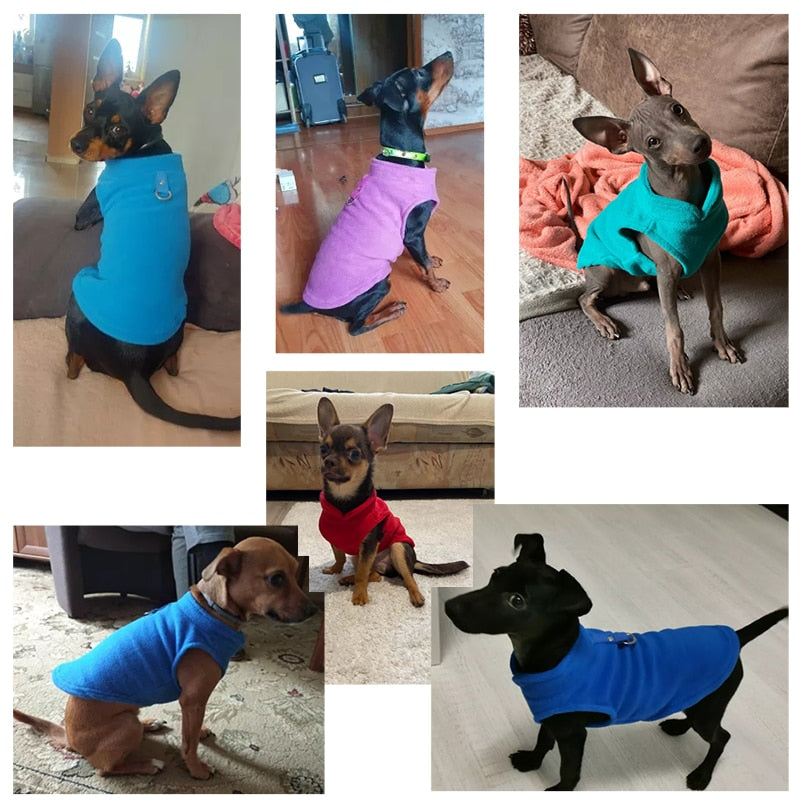 Winter Fleece Haustier Hund Kleidung Welpen Kleidung Französisch Bulldogge Mantel Mops Kostüme Jacke Für Kleine Hunde Chihuahua Weste Yorkie Kätzchen