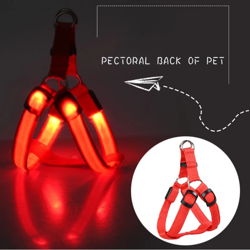 Nylon Haustier Sicherheit LED Geschirr Leine Set Hund Einstellbare Blinklicht Geschirr Leine Seil Gürtel Halsband Weste für Hunde Haustierbedarf