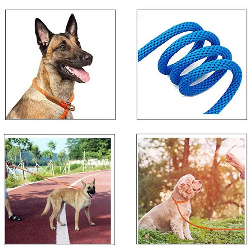 Hundehalsband, Schlupfleine, Hundeleine, Nylon, solide Seilleine, verstellbar, kein Ziehen, Trainingsleine für mittelgroße und große Hunde