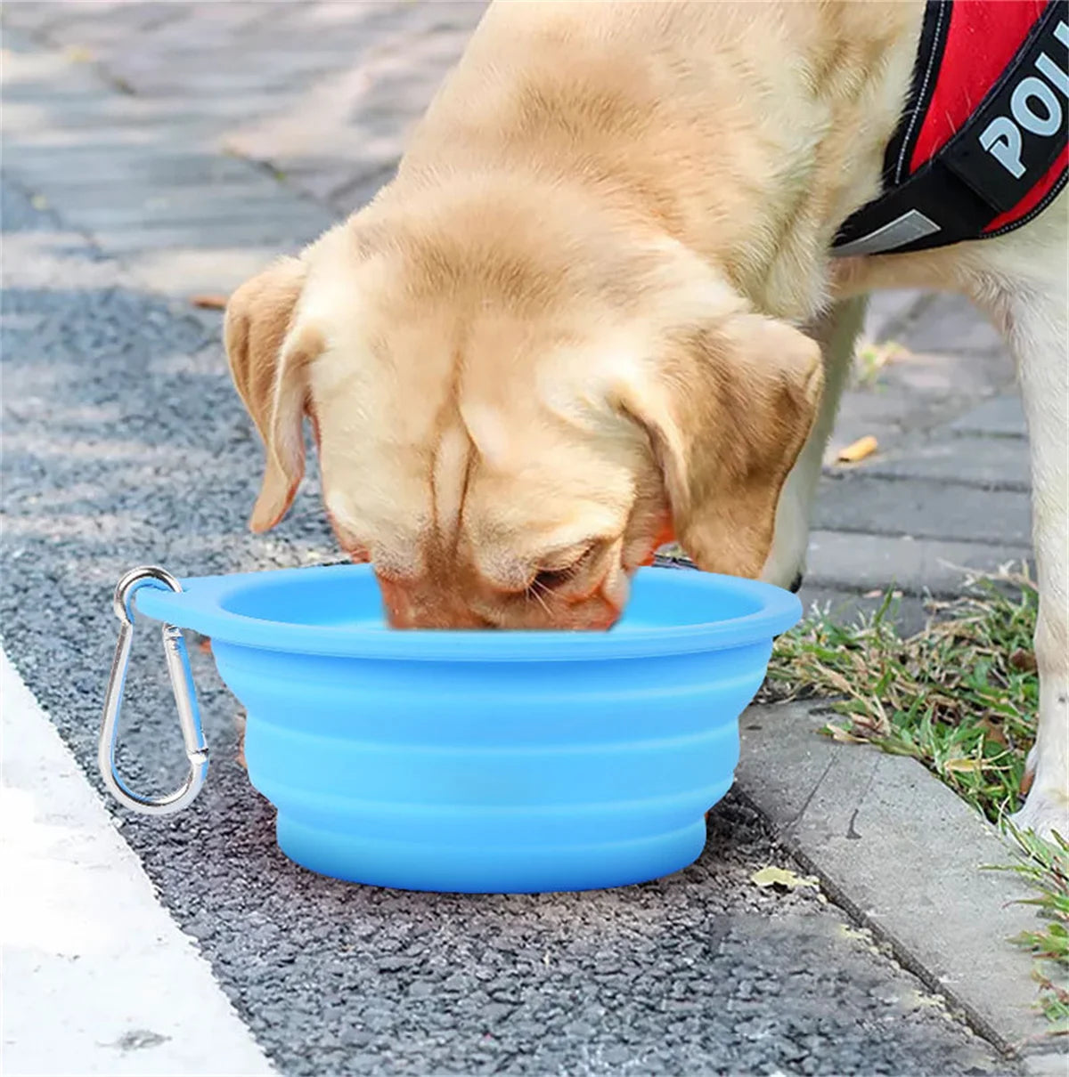 350/600 ml großer zusammenklappbarer Futternapf für Hunde und Haustiere, aus Silikon, für Reisen im Freien, tragbarer Futterbehälter für Welpen, Futternapf