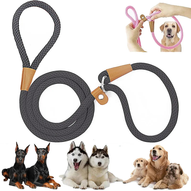 Hundehalsband, Schlupfleine, Hundeleine, Nylon, solide Seilleine, verstellbar, kein Ziehen, Trainingsleine für mittelgroße und große Hunde