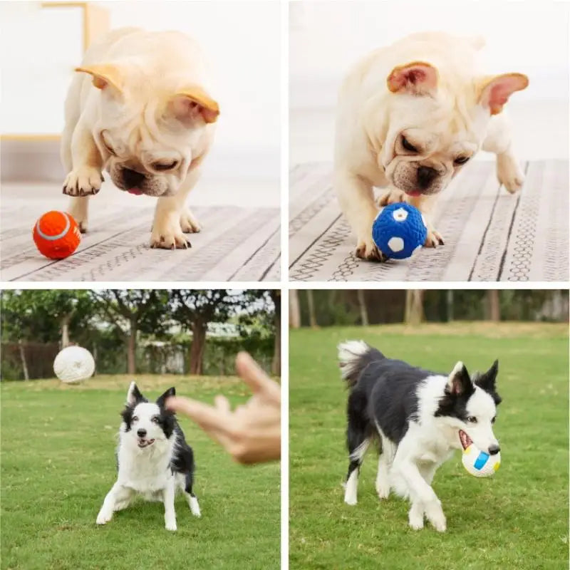 Quietschendes Hundespielzeug, Fußbälle aus Naturlatex, weich, federnd, langlebig, für kleine, mittelgroße und große Hunde, interaktives Hundespielzeug zum Kauen und Apportieren