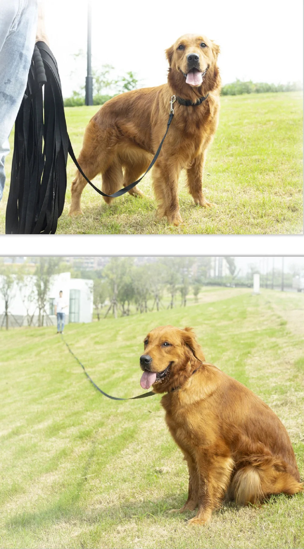 Lange Nylonleine mit komfortablem Schwammgriff für Hunde, Schlüsselband, Outdoor-Trainingsspaziergang, 1,8 m, 3 m, 6 m, 10 m, 15 m, 20 m, 30 m, 50 m, Hundeleine